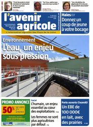 SOLO 1 an (50 numéros)