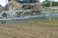 La herse étrille se passe en plein jusqu’au stade 2-3 feuilles du maïs.