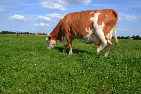 Comme toute activité, l’agriculture participe au réchauffement climatique : en France, 18 % des émissions de GES sont d’origine agricole. Mais les solutions s’y trouvent aussi : en augmentant le stockage du carbone dans les sols.