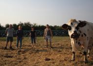 Les quatre associés du Gaec La Normande participeront à l'Interrégional Normand. Ils élèvent 160 vaches sur 150 hectares, pour une production de 1,2 million de litres de lait.