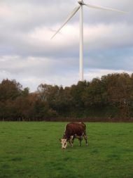 Depuis 2013 et la mise en service du parc éolien, la vie des riverains et des éleveurs est un enfer.