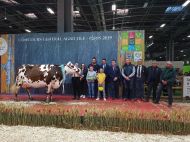 Menée par Emmanuel Bellanger, qui a succédé à son oncle Christian Tacheau l’an passé, Hamilton remporte son deuxième titre de championne nationale en race Normande.