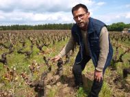 “Il ne faut pas laisser les vignerons seuls dans leur coin. C’est collectivement qu’il faut faire émerger des solutions” explique Alain Gripon.