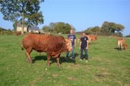 A Château-Gontier, Pierre Monnier et Mickaël Come défileront, entre autres, avec Hector, leur taureau en copropriété.
